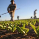 Disoccupazione agricola e cassa integrazione Covid: le istruzioni aggiornate