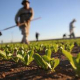 Sostegni Bis per l'agricoltura: ecco i bonus ai lavoratori e altre novit